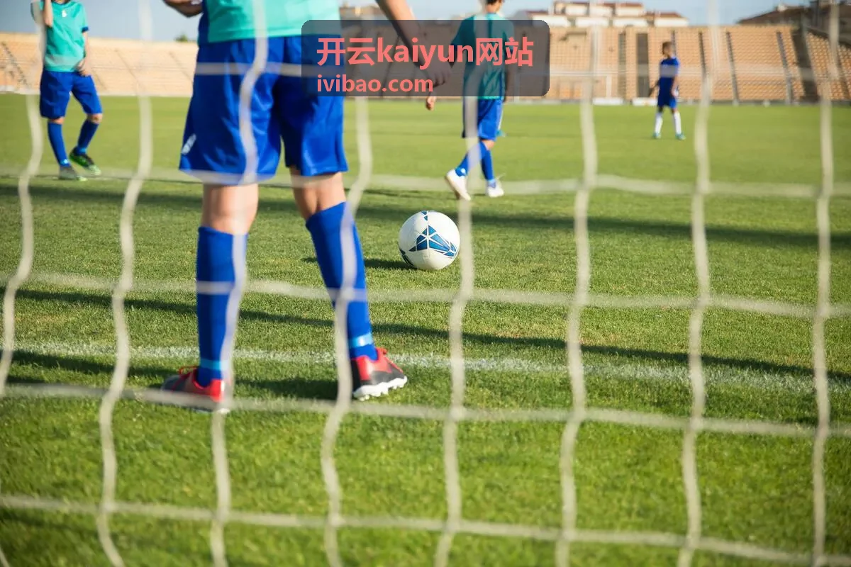 开云kaiyun网站部署接入流程各阶段配合示意